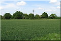 Phone mast by the A428