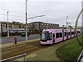 Tram on New South Promenade