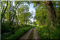 Sandford : Country Lane