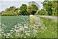 Laxfield, Gayhouse Farm: Cereal crop