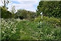 Tannington: Public footpath