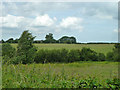 Fields south of Alkham