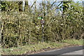 Footpath off Wye Rd