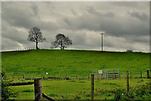 H5070 : A cloudy sky, Donaghanie by Kenneth  Allen