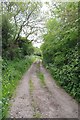 TL5706 : Bridleway Near Cannon's Green by Glyn Baker