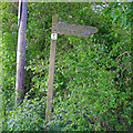 Signpost for Hawksmere Springs Nature Reserve, Stapleford Tawney