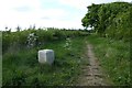 Marker stone on Fulford Ings