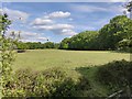 Field next to the Balcombe Road