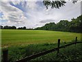 Field next to Holland Road