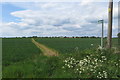 Footpath to Thurleigh