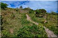 SS6147 : Combe Martin : South West Coast Path by Lewis Clarke