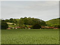 Looking across fields to Ramsdean village