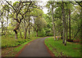 NH5043 : Driveway, Beaufort Estate by Craig Wallace