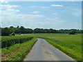 Lane towards Goodnestone