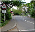 STOP when lights show, Summer Road, Thames Ditton