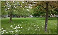 De Montfort Square in Leicester