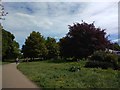 Path into Heavitree Pleasure Ground