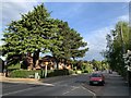 Wollaton Road, Beeston