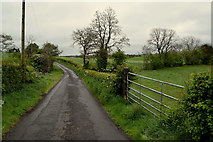 H4867 : Drumconnelly Road by Kenneth  Allen