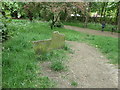 Gravestones for Sin and My Mouse, Thornes Park