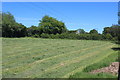 ST1997 : Mown grass field, Pant-yr-yn by M J Roscoe