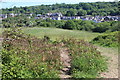 Field above dismantled railway junction