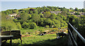 Allotments above Malt Mill Lake