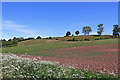 Shropshire farmland south of Ackleton