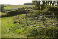 Farmland, East Pitton