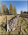 NH6335 : Dry Stone Wall Insh by valenta