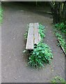 NO2601 : Decrepit old bench by Bill Kasman