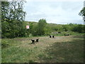 Benches by the Trans Pennine Trail