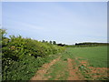 Track to Hill Top Farm