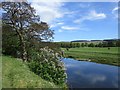 River Clyde near Symington House