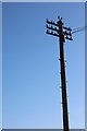 TL2556 : Closeup of telegraph pole in Waresley by David Howard