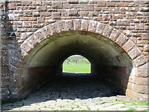 NT0136 : Flood arch on Wolfclyde Bridge by Alan O'Dowd