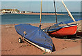 Boats, Shaldon