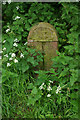 A millennium stone, East Court, East Grinstead