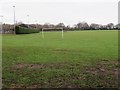 Sports fields in Greenwood Park