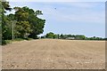 Thorpe Abbotts: Ploughed field