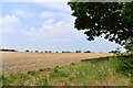 Thorpe Abbotts: Ploughed field