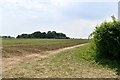 Rushall: Field with a small area of woodland beyond