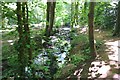 Brislington Brook