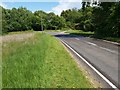 Road from Haslemere