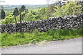 Dry stone wall on west side of Malham Rakes