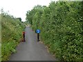 Cycle and foot route along Blackhorse Lane