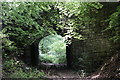 Unused railway bridge, Lea Bailey