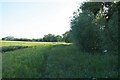 Footpath to Millers Green