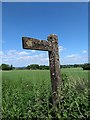 Lichen encrusted footpath sign on New Lane