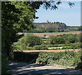 Stocking Lane at Cloud Wood